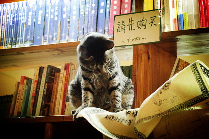 图三_副本.jpg